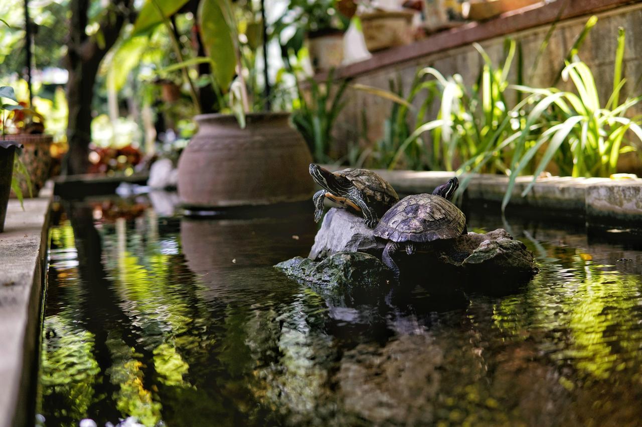 Lani'S House By The Ponds Hotel Vientiane Luaran gambar